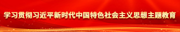 疯狂操逼视频网站免费观看学习贯彻习近平新时代中国特色社会主义思想主题教育